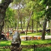 Emirgan Korusu'na AVM ve rezidans Emirgan Korusu'na AVM ve rezidans