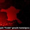 Okullu köpek "Fındık" gençlik hastalığına yakalandı Okullu köpek "Fındık" gençlik hastalığına yakalandı