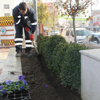 Menderes’te kışlıklar çıktı