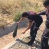 Panik anları! Aracının içine yılan kaçtı Panik anları! Aracının içine yılan kaçtı