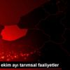 Düzce de ekim ayı tarımsal faaliyetler