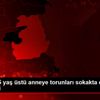 Erciş te 65 yaş üstü anneye torunları sokakta çiçek ... Erciş te 65 yaş üstü anneye torunları sokakta çiçek ...