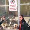 Yaralı kedi yavrusuna oyuncu şefkati Yaralı kedi yavrusuna oyuncu şefkati