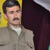 İşte PKK'lı teröristlerin telsiz konuşmaları İşte PKK'lı teröristlerin telsiz konuşmaları