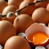 Yumurtanın üstünde üretim tarihi yazacak Yumurtanın üstünde üretim tarihi yazacak