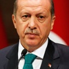 Cumhurbaşkanı Erdoğan Paris saldırısı sonrası açıklama yapıyor Cumhurbaşkanı Erdoğan Paris saldırısı sonrası açıklama yapıyor