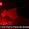 Gaziantep Canlı Hayvan Pazarında denetleme Gaziantep Canlı Hayvan Pazarında denetleme
