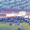PYDden alçak kutlama PYDden alçak kutlama