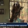 Evvel İstanbul 323 satışla kasım lideri Evvel İstanbul 323 satışla kasım lideri