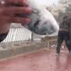 Malta’da balık yağmuru