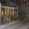 Tramvay yoluna ağaç devrildi: 3 yaralı Tramvay yoluna ağaç devrildi: 3 yaralı