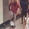 İzmir'deki AVM'de minik çocuğa acımasız tekme kamerada İzmir'deki AVM'de minik çocuğa acımasız tekme kamerada