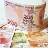 TL böyle kayıp görmedi