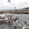 Sokak hayvanlarını elleriyle besliyor