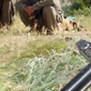 2 günde 41 PKK'lı terörist öldürüldü 2 günde 41 PKK'lı terörist öldürüldü