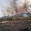 Erdek'te orman yangını Erdek'te orman yangını