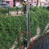 Martıyı kurtarmak isterken mahsur kaldı Martıyı kurtarmak isterken mahsur kaldı