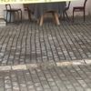 Kahvede kavga! Silahlar konuştu... Kahvede kavga! Silahlar konuştu...