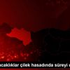 Yüksek sıcaklıklar çilek hasadında süreyi uzattı