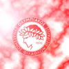 Olympiakos'a Türk hoca... Olympiakos'a Türk hoca...