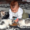 'Kedi yavruları bebeğimden daha şanslı'