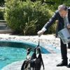 Bursa'nın ilk Afrika pengueni doğdu