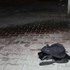 Alibeyköy'de bomba paniği Alibeyköy'de bomba paniği