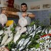 Ordu'da balıkçı tezgahları dolmaya başladı