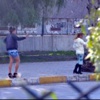 Fidan ne yanlış yaptı da korkacak? Fidan ne yanlış yaptı da korkacak?
