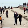 Caddebostan Sahili'nde cumartesi yoğunluğu
