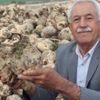 Öğretmendi, öğretti Öğretmendi, öğretti