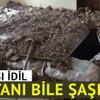 İdil'de terör operasyonu