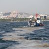 38 günde 100 ton deniz salyası toplandı