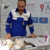 Kedinin iki gözünü de oyup otoban kenarına attılar Kedinin iki gözünü de oyup otoban kenarına attılar