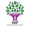 HDP'li vekil canlı yayında açıkladı! 'O koalisyon kesin gibi' HDP'li vekil canlı yayında açıkladı! 'O koalisyon kesin gibi'
