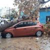 Fırtınanın devirdiği ağaç otomobili hurdaya çevirdi Fırtınanın devirdiği ağaç otomobili hurdaya çevirdi