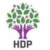 HDP'den ilk açıklama!
