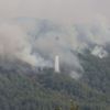 Adana'da yangın sürüyor! 200 hektar orman yok oldu!