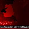 Van da sokak hayvanları için 18 noktaya mama bırakıldı Van da sokak hayvanları için 18 noktaya mama bırakıldı