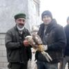 Yaralı şahine yardım eli