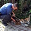 Polis, sokak hayvanlarını unutmadı Polis, sokak hayvanlarını unutmadı