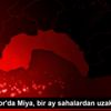 Konyaspor da Miya, bir ay sahalardan uzak kalacak Konyaspor da Miya, bir ay sahalardan uzak kalacak
