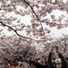 Japon turizmine korona virüsü darbesi Japon turizmine korona virüsü darbesi