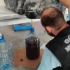 Sarp Gümrük Kapısı'nda bir otomobilin deposunda 153 kilo bal yakalandı Sarp Gümrük Kapısı'nda bir otomobilin deposunda 153 kilo bal yakalandı