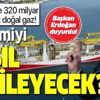 Başkan Erdoğan müjdeyi açıkladı! Karadeniz'de doğalgaz bulunması ekonomiyi nasıl etkileyecek?