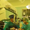 Mikrocerrahide bir ilki Türk doktorlar başardı Mikrocerrahide bir ilki Türk doktorlar başardı