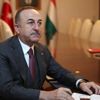 Bakan Çavuşoğlu Pakistanlı mevkidaşıyla görüştü