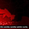 Muğla da ölü caretta caretta sahile vurdu Muğla da ölü caretta caretta sahile vurdu