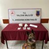 Yalova'da uyuşturucu operasyonu: 5 gözaltı Yalova'da uyuşturucu operasyonu: 5 gözaltı