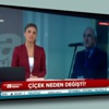 Yandaşın yeni hedefi, Cemil Çiçek Yandaşın yeni hedefi, Cemil Çiçek